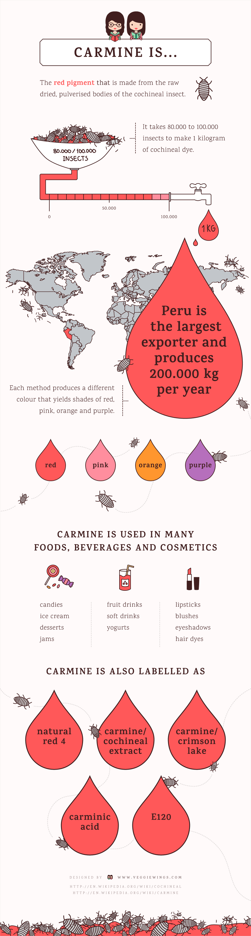 infographic carmine cochineal