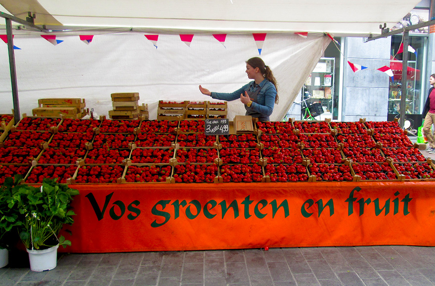 dordrecht market
